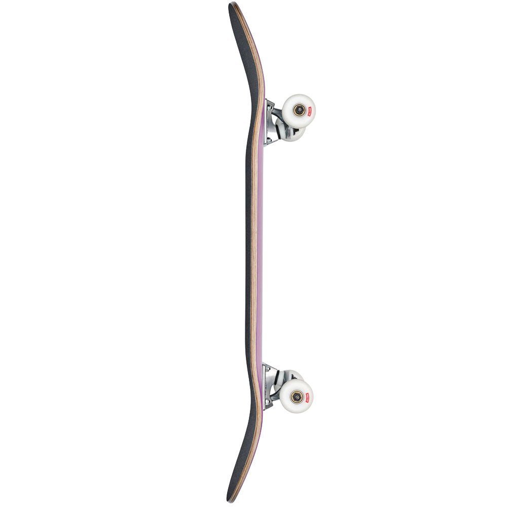 Globe Goodstock Complete Skateboard - The Skateboard Shop