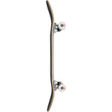 Globe G0 Pond Complete Skateboard