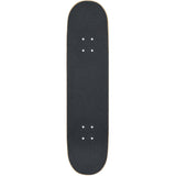 Globe G0 Pond Complete Skateboard