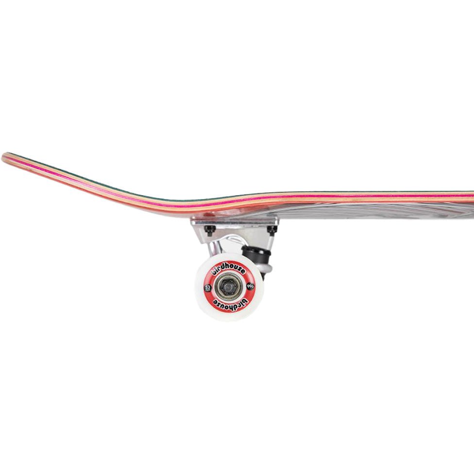 Birdhouse Hawk Falcon 4 DIY Kit Complete Skateboard - 8.25" - The Snowboard Shop
