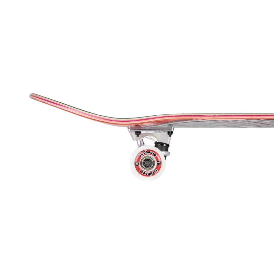 Birdhouse Hawk Falcon 4 DIY Kit Complete Skateboard - 8.25" - The Snowboard Shop