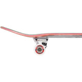Birdhouse Hawk Falcon 4 DIY Kit Complete Skateboard - The Skateboard Shop