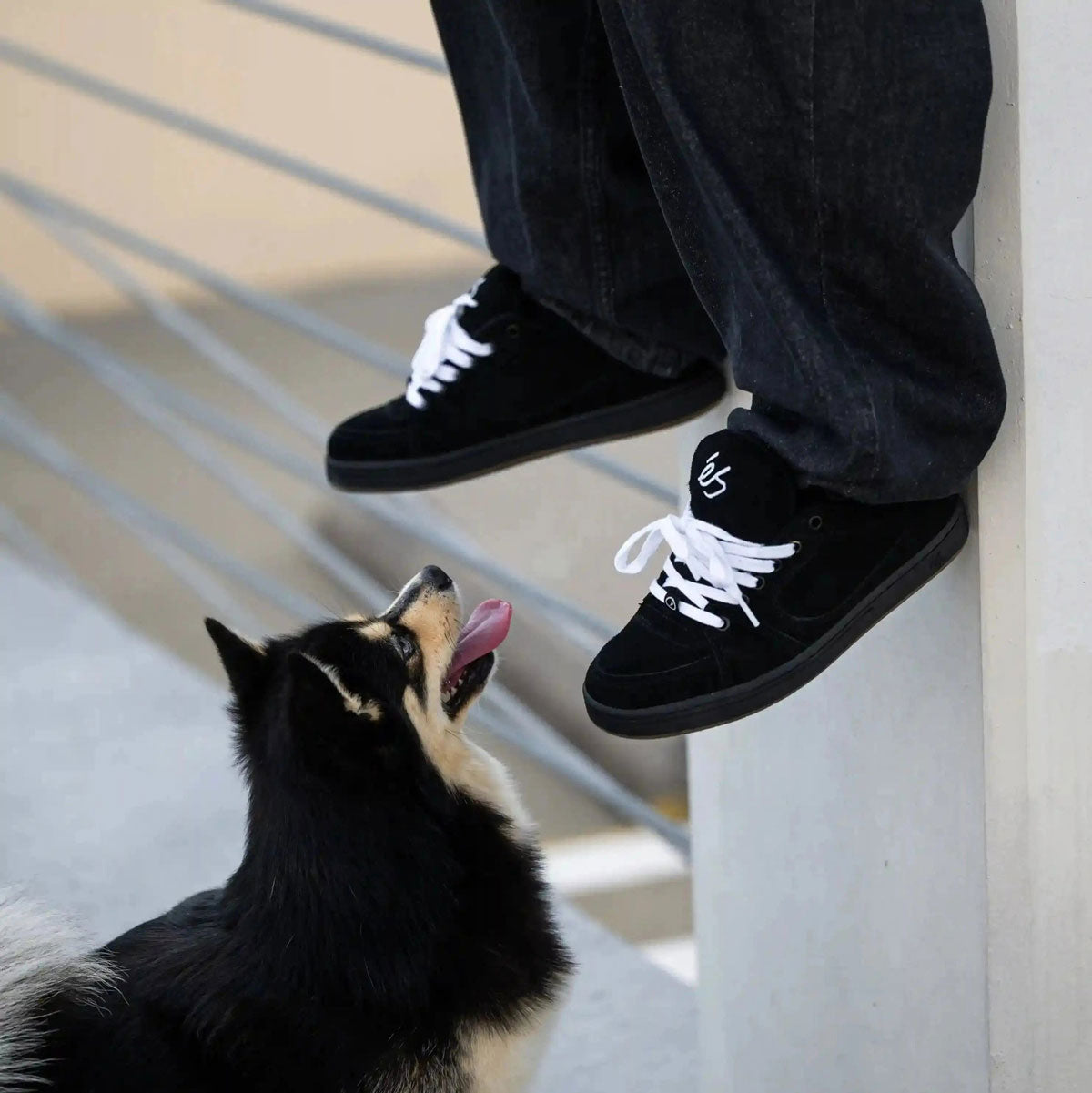 eS Accel Skate Shoes