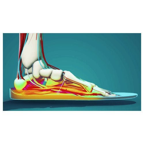Footprint Gamechanger Elite Insoles - The Skateboard Shop