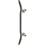 Globe Goodstock Complete Skateboard - The Skateboard Shop