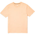 Volcom Solid Stone T-Shirt - The Skateboard Shop